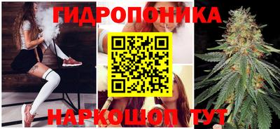 стафф Нягань